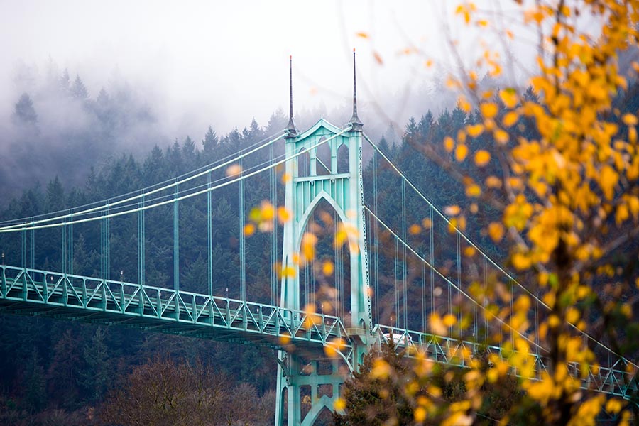 Portland, OR Insurance - St. Johns Bridge in Portland, Oregon, a Blue Bridge With Pine Trees and Heavy Fog Behind, and Autumn Leaves in the Foreground