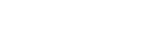 Risk Insurance Partners - Logo 800 White
